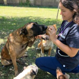 Asesoría Veterinaria nutricional virtual